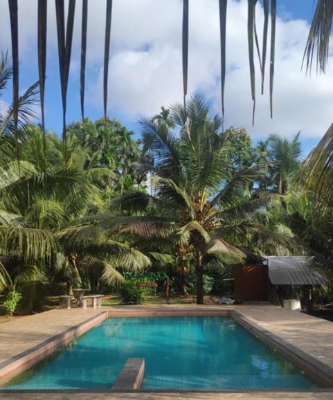 Thanima Farmlife Experiential Farm Tourism Nallepilli エクステリア 写真