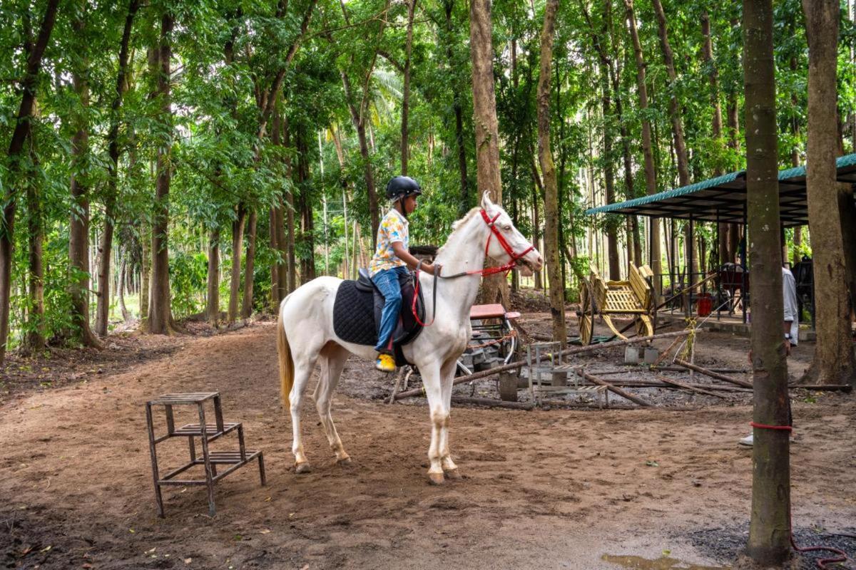 Thanima Farmlife Experiential Farm Tourism Nallepilli エクステリア 写真